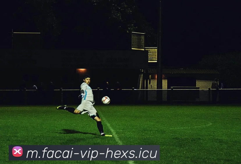 爱游戏体育服务体系